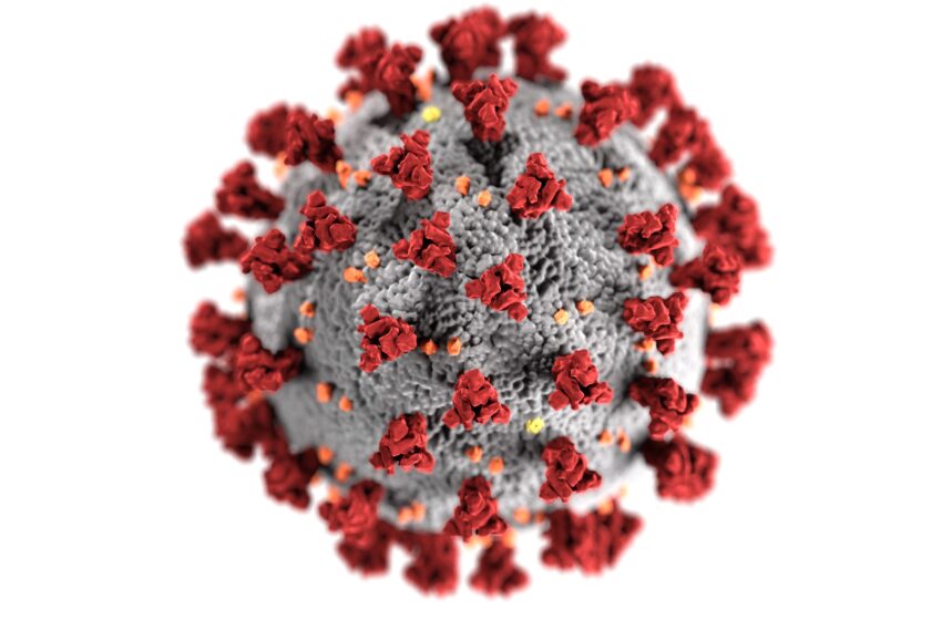  É fato que cientistas identificaram anticorpo que neutraliza o coronavírus