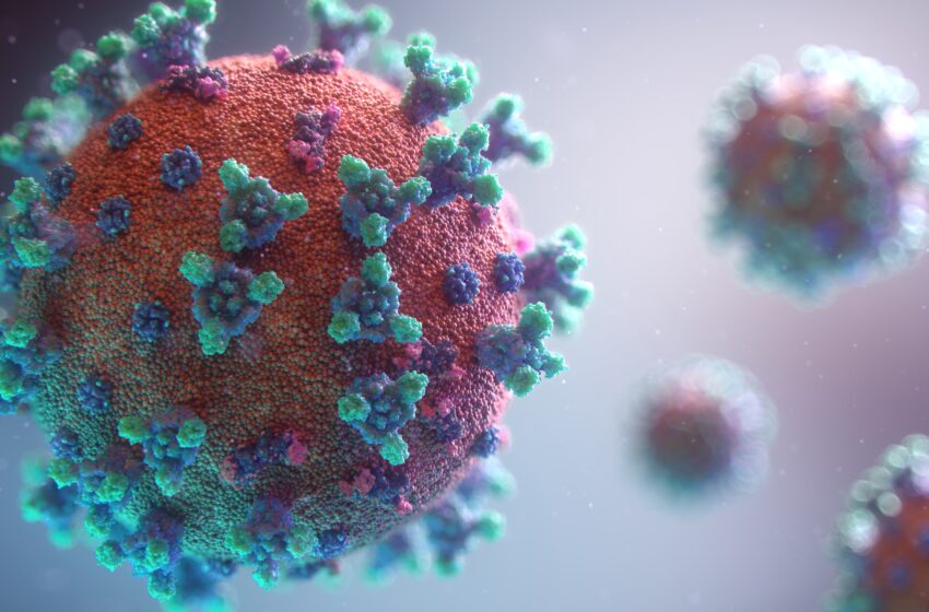  Não existe comprovação de que a maioria das pessoas é imune ao vírus da Covid-19