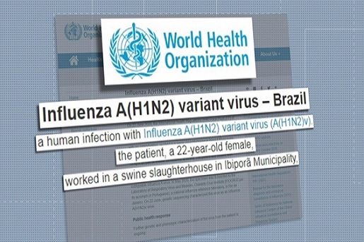 A OMS detectou um novo vírus com potencial pandêmico no Brasil?