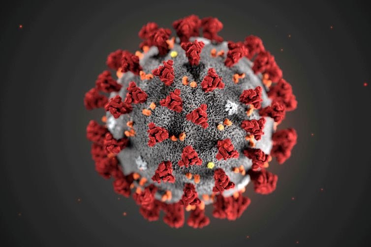  O novo coronavírus infecta bactérias?