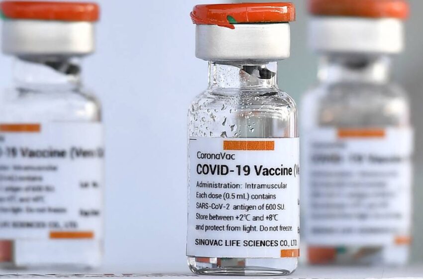  Vacina Coronavac tem baixa eficácia em idosos?